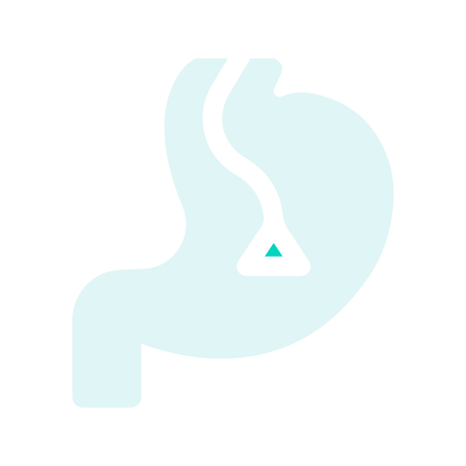 Endoscopia